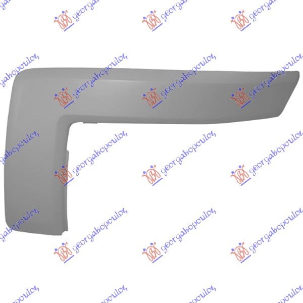 FR.BUMBER SIDE MOULDING 06-