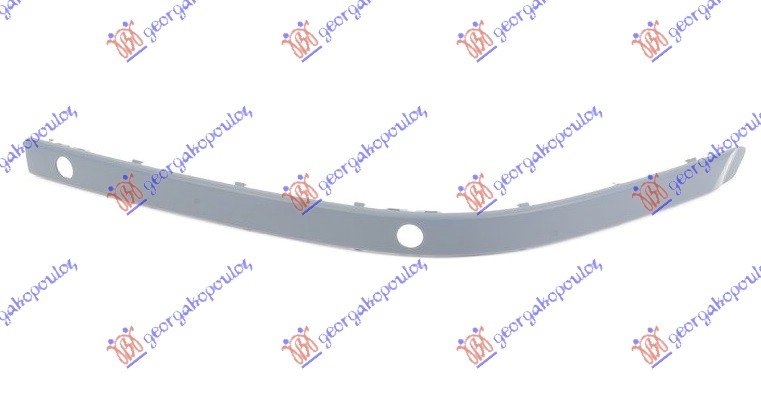 FR. BUMPER SIDE MOULDING 00- (W/PDS)