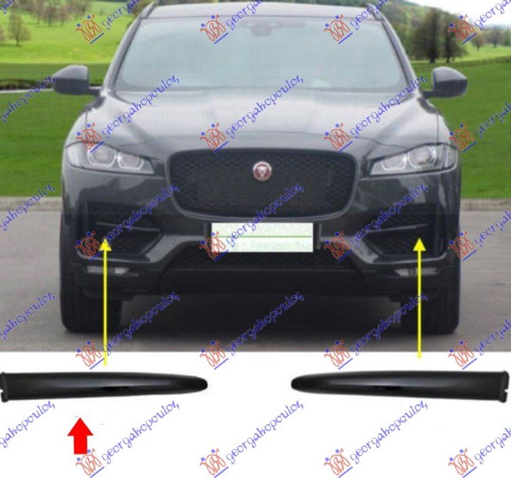 FR. BUMPER GRILLE MOULD. BLACK (R-SPORT