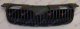 GRILLE BLACK (W/MOULD. HOLES)